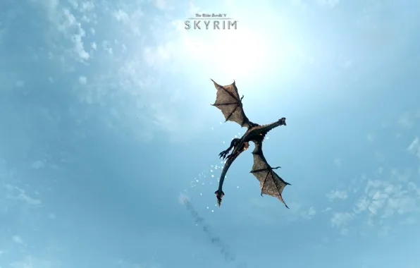 Picture the sky, flight, blue, dragon, the game, wings, The Elder Scrolls V: Skyrim