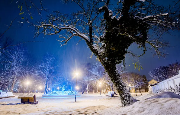 Picture winter, light, snow, trees, the city, Park, tree, the evening, benches, shop