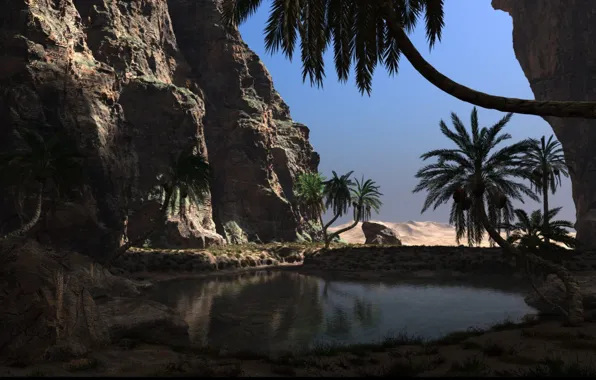 Picture the sky, water, stones, palm trees, rocks, the hidden oasis