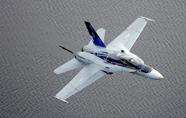 Picture fighter, Hornet, interceptor, CF-18