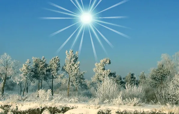 Picture winter, frost, snow, The sun, fairy forest