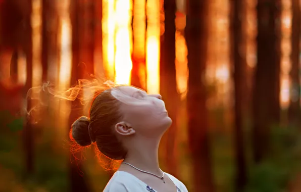 Picture forest, girl, sunset, smoke, the evening