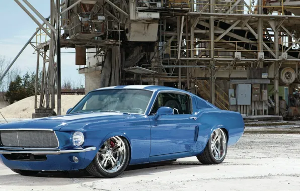 Picture dream, mustang, ford, shelby, muscle, tuning, cobra, power, custom, america, low, stance, GT 390, fastback