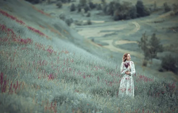 Picture grass, girl, flowers, hill, hill, Violet tale
