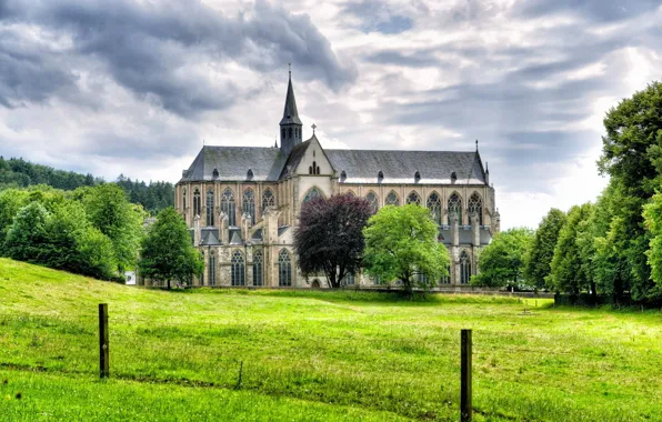 Picture grass, trees, landscape, Germany, Cathedral, Germany, Altenberg, Altenberg