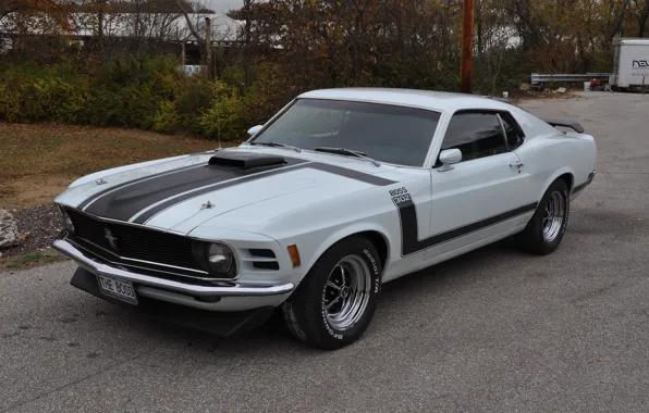 Picture Mustang, Ford, 1970, Boss