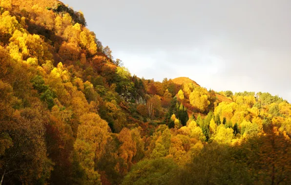 Picture autumn, mountains, leaves, autumn colors, sunlight, fall, foliage, cloudy, fall colors, fall palette, autumn palette