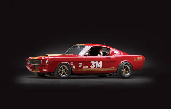 Picture shelby, ford mustang, race car, gt350h