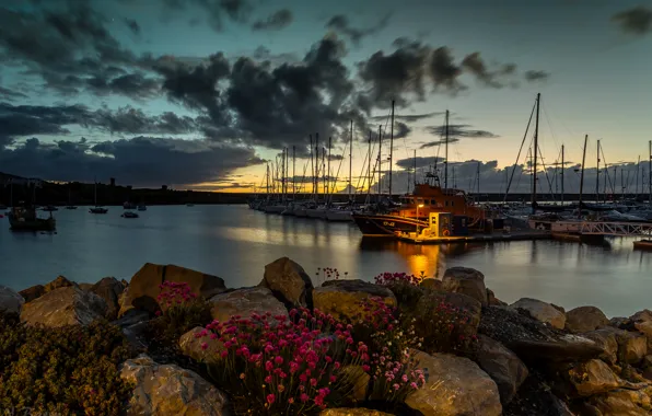 Picture sea, the sky, clouds, sunset, flowers, stones, shore, Bay, yachts, lantern, UK, Holyhead