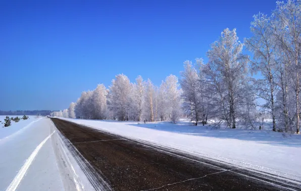 Picture winter, road, nature