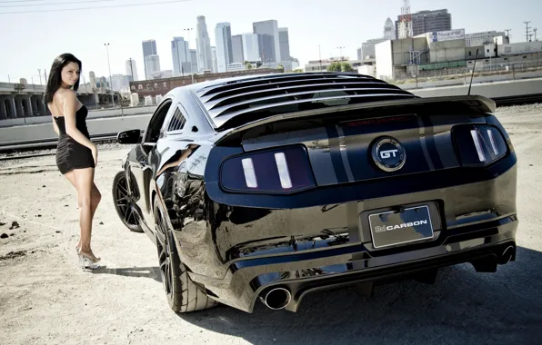 Picture Mustang, Ford, Girl, Carbon