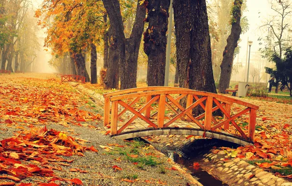 Picture Park, foliage, Autumn, the bridge, bridge, park, autumn, leaves, fall