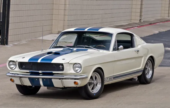 Picture Shelby, GT350, '1965