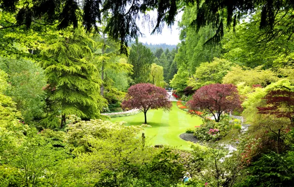 Picture grass, trees, Park, lawn, garden, Canada, the bushes, Butchart Gardens