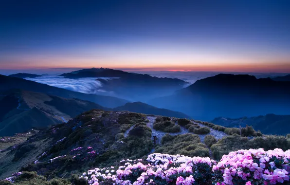 Picture the sky, sunset, flowers, mountains, orange, hills, view, height, The evening, haze, pink, blue