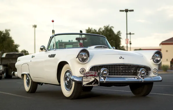 Picture Ford, the front, 1955, Thunderbird, T-Bird