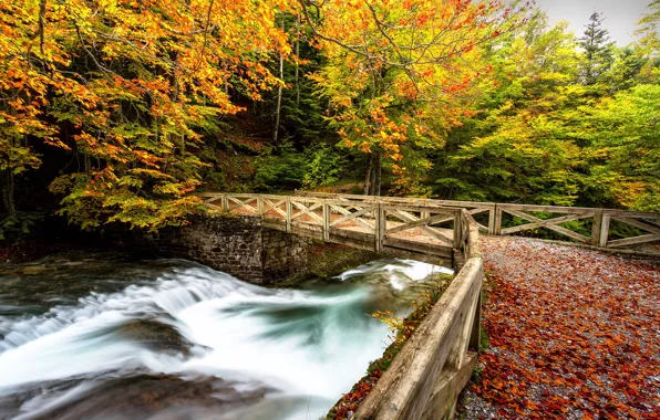 Picture autumn, bridge, river, paint, foliage, waterfall, autumn, leaves, rivers, bridges