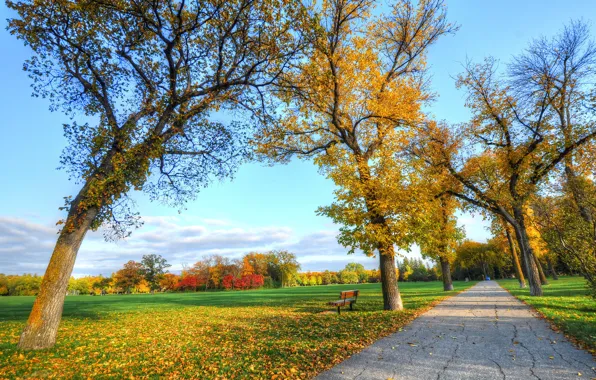 Picture road, autumn, grass, leaves, trees, Park, bench