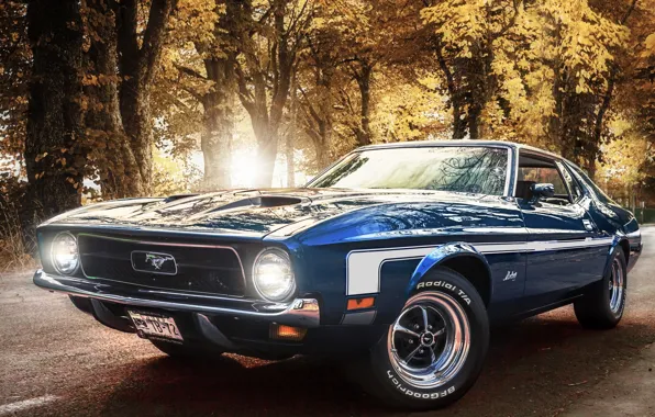 Picture Mustang, Ford, Blue, Ford, 1971, Mustang, Mach 1, Muscle Car, The front, Muscle Car