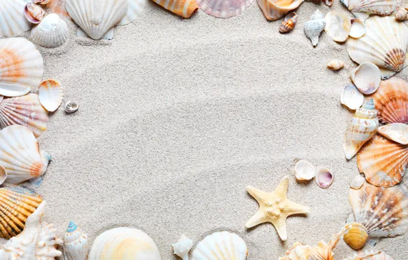 Picture sand, beach, frame, shell, sand, starfish, seashells