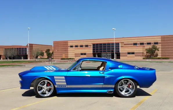 Picture Mustang, Ford, Blue, 1967, Boss
