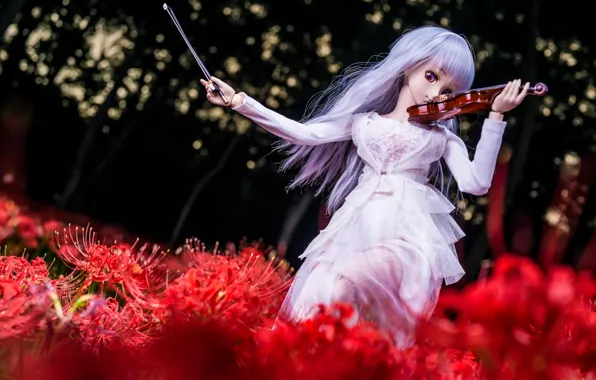 Picture girl, flowers, violin, hair, doll