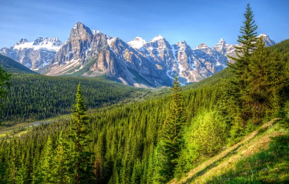 Picture forest, landscape, mountains, nature, Park, Canada, Banff
