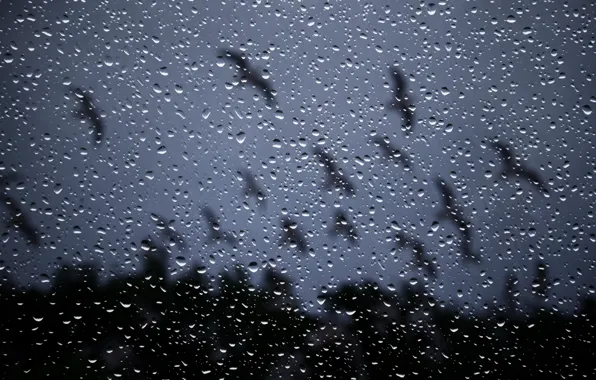 Picture glass, drops, night, rain, window, rain drops on glass