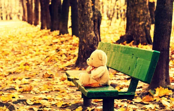 Picture autumn, leaves, trees, bench, background, tree, Wallpaper, mood, toy, yellow, shop, bear, shop, wallpaper, leaves, …
