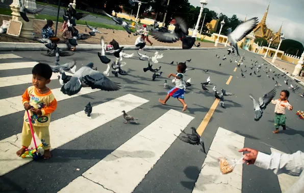 Picture road, children, pigeons