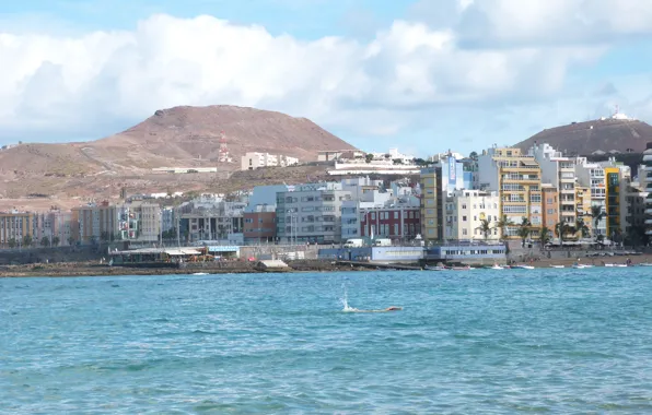 Picture the city, Canary Islands, Las Palmas