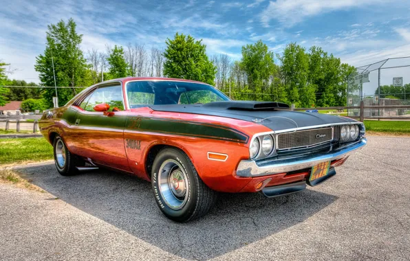 Picture HDR, Dodge Challenger, 1970, the front, Dodge Chelenzher
