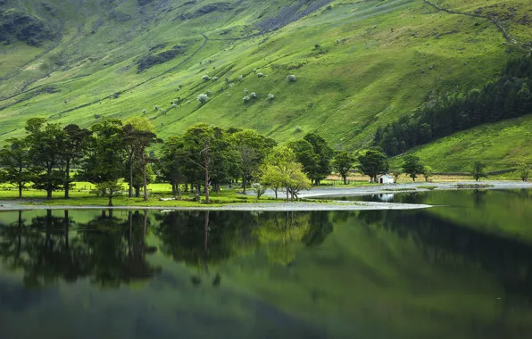 Picture National Park, Lake District, the lake district, Buttermere Valley
