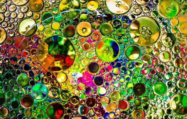 Picture water, bubbles, color, oil, round, the air