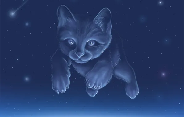 Picture the sky, cat, constellation