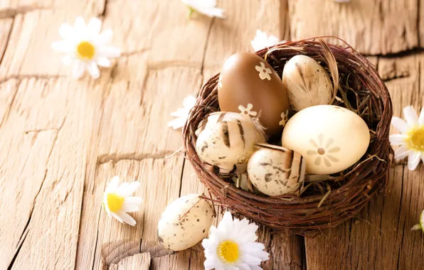 Picture chamomile, eggs, Easter, wood, flowers, eggs, easter, camomile
