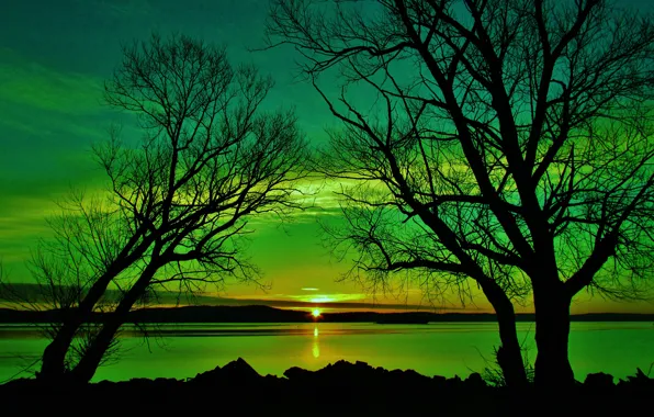 Picture sunset, river, shore, trees, Hudson river, green sunset