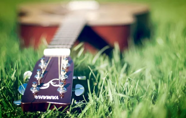 Picture Guitar, Yamaha, On the grass