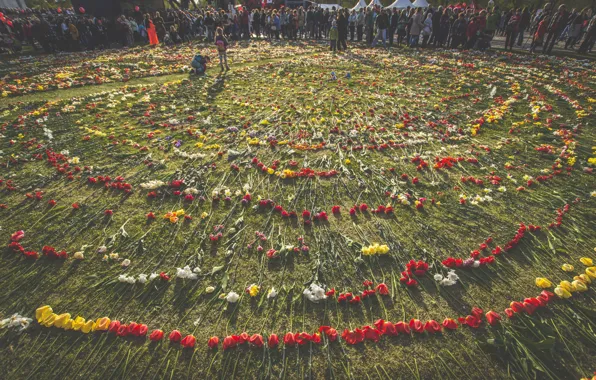 Picture flowers, victory day, May 9