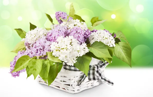 Picture flowers, basket, tape, white, purple, lilac