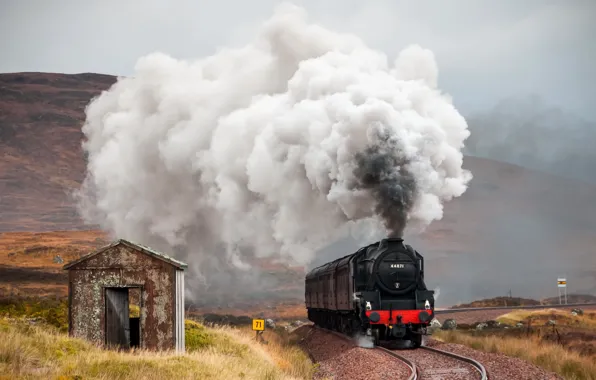 Picture Railway, Steam, Old Hut, Locomotive