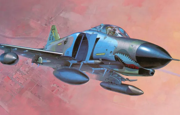 Picture figure, fighter, art, the plane, phantom, F-4E