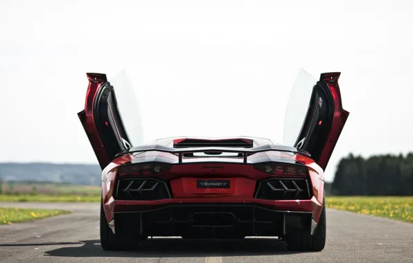 Picture road, ass, door, supercar, Lamborghini Aventador