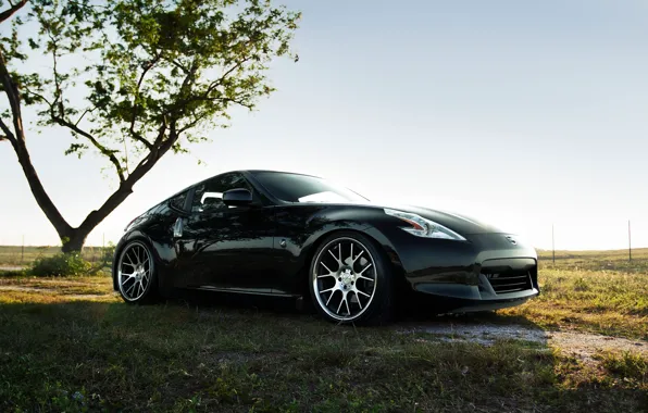 Picture The sky, Nature, Field, Auto, Tree, Grass, Tuning, Machine, Nissan, 370Z