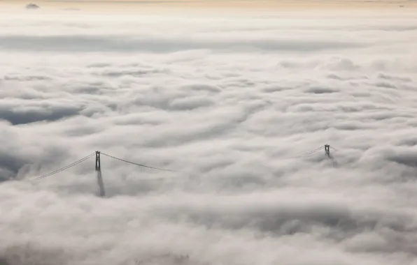 Picture landscape, nature, fog, Lions Gate Bridge
