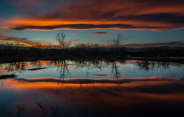 Picture the sky, water, reflection, trees, clouds, nature, lake, the evening