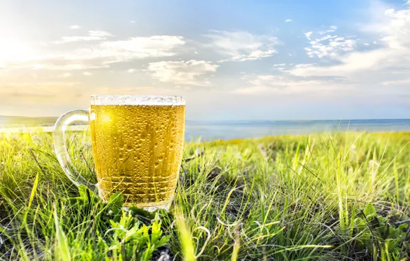 Picture The sky, Nature, Mug, Beer, Ear, Field, Dishes, Food