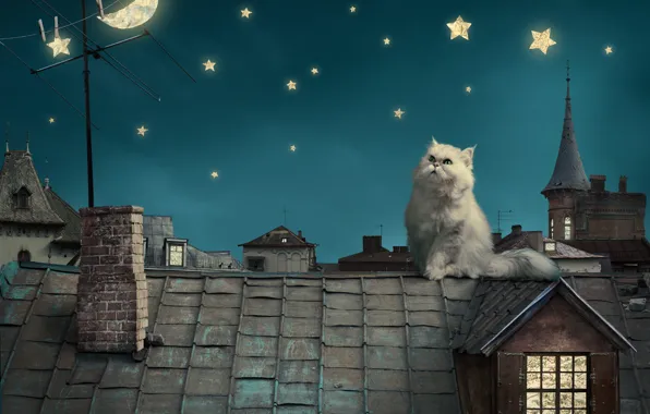 Picture the sky, stars, night, kitty, the moon, home, tale, roof, fantasy, moon, house, fantasy, sky, …