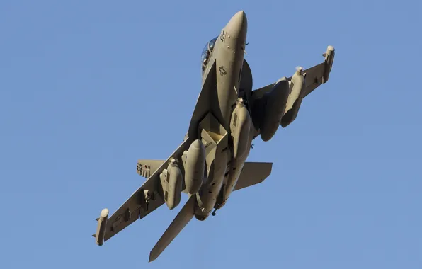 Picture weapons, the plane, THUNDER42 VAQ-135 Black Ravens F-18G