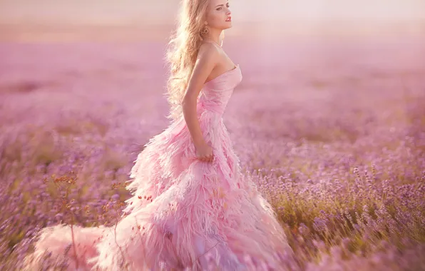 Picture model, dress, meadow, lavender